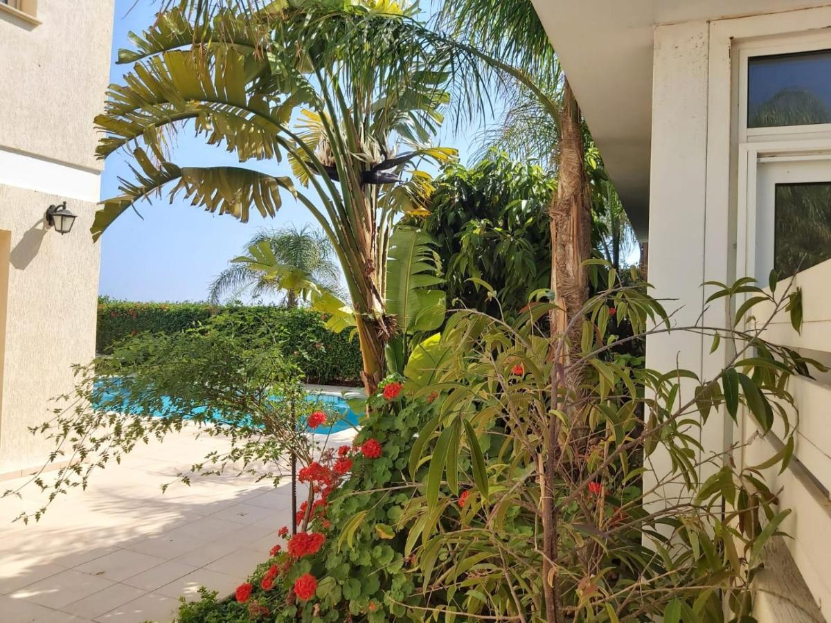 Anthorina Villa 8 Protaras Eksteriør billede